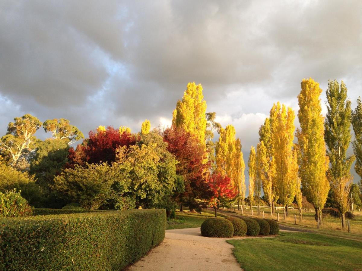 Glen Waverly Farmstay Glen Innes Zewnętrze zdjęcie