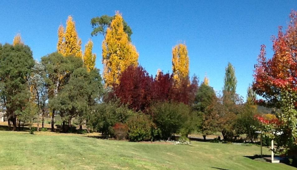 Glen Waverly Farmstay Glen Innes Pokój zdjęcie