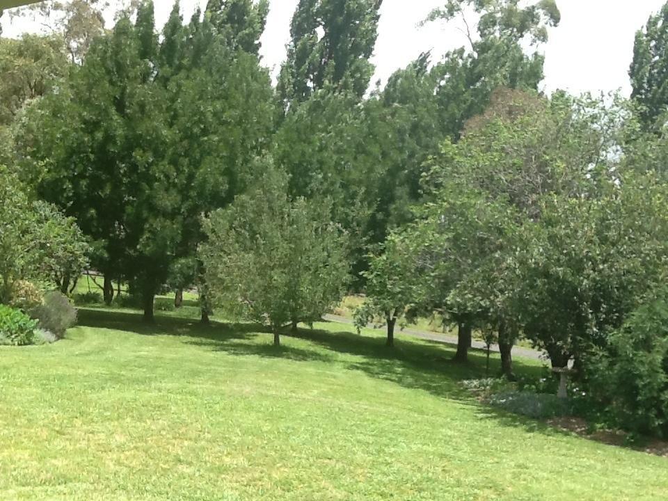 Glen Waverly Farmstay Glen Innes Pokój zdjęcie