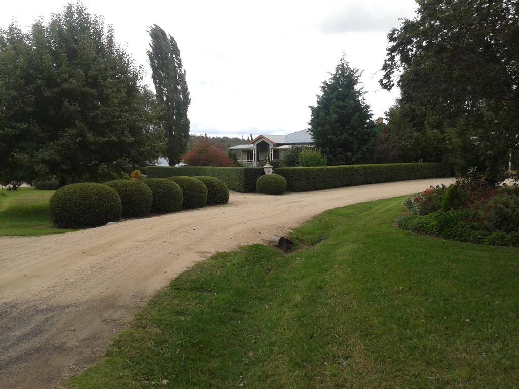 Glen Waverly Farmstay Glen Innes Zewnętrze zdjęcie