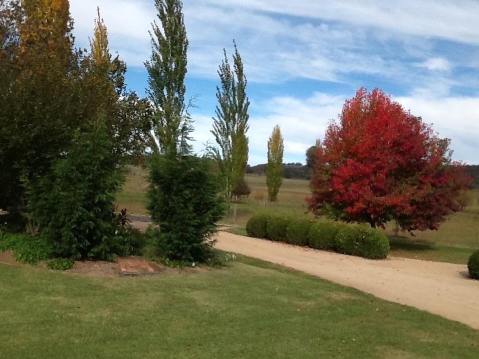 Glen Waverly Farmstay Glen Innes Pokój zdjęcie