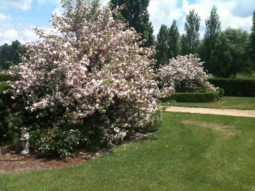 Glen Waverly Farmstay Glen Innes Zewnętrze zdjęcie
